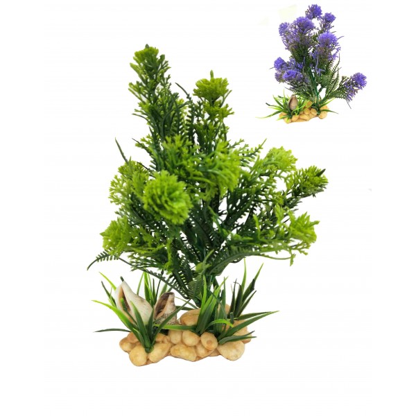 ΔΙΑΚΟΣΜΗΤΙΚΟ ΦΥΤΟ ΕΝΥΔΡΕΙΟΥ